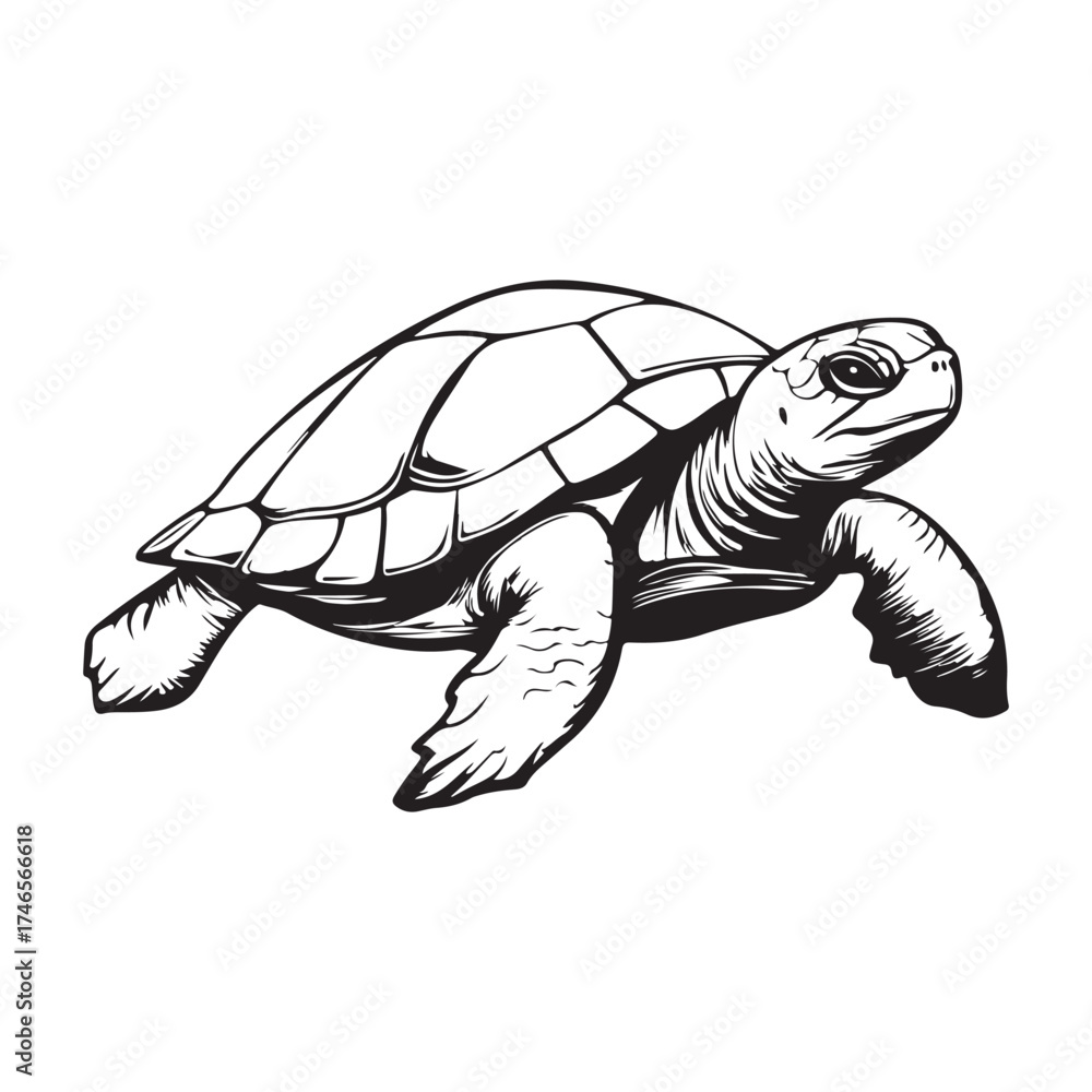 Fototapeta premium Cute turtle vector illustration in cartoon style, featuring a reptile with a distinctive shell, bright green color, and an adorable expression.