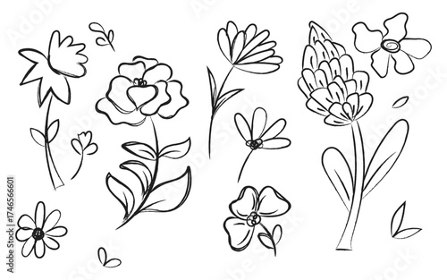 Black white flower sketch, Hand-drawn floral art, Simple nature doodle