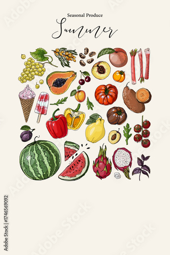 Vector poster with colorful hand drawn illustrations of seasonal summer produce: cherry, bell pepper, peach, chard, tomato, plum, cauliflower, watermelon, grapes, romaine lettuce, broad beans, and yam
