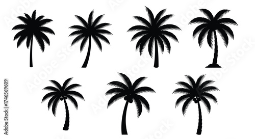 Silhouettes of various palm trees tropical beach