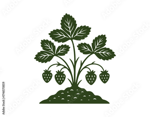 illustration of a strawberry plant in silhouette with strawberries,

