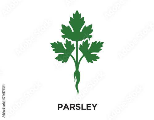 Parsley glyph icon. A fresh, edible flowering plant. Flat-leaf root parsley. Great for vegetarian, healthy eating. Agriculture concept. Filled flat sign. Isolated silhouette vector illustration.