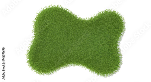 Vibrant green grass patch, Top View