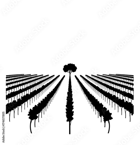 Vineyard landscape sketch. Hand-drawn vintage vector illustration. Rows of vineyard grape plants and winery farmhouse on the background in graphic style landscape engraving.	