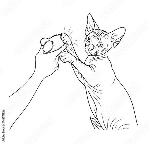 owner cat fun walk love one line art design vector	