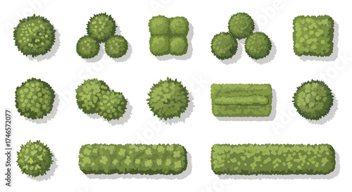 Overhead view of various green plant shapes and arrangements for landscaping design and architecture plans