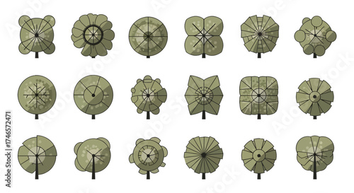 Aerial views of various tree species showcasing diverse crown shapes