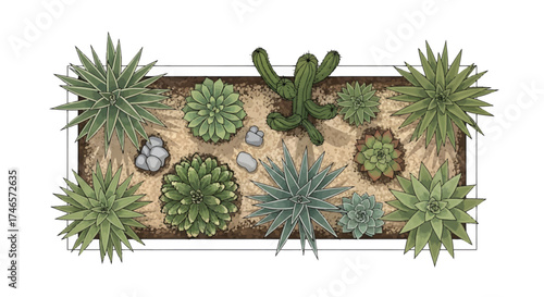 Aerial view of a variety of cacti and succulents