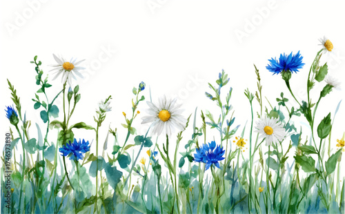 Abstract watercolor floral background. Wild flowers of chamomile, cornflowers and others. Meadow and field flowers. Perfect for banner design, invitations and modern prints.