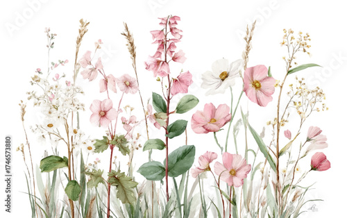 Minimalistic illustration of wildflowers with watercolor floral arrangements. Botanical tones of wild grass, in a natural style. Field and meadow flowers. Vector illustration.