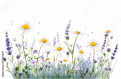 Watercolor border with wild flowers. Field and meadow flowers of chamomile, lavender and others. Summer and spring floral backgrounds. Perfect for decor, invitations and branding projects.