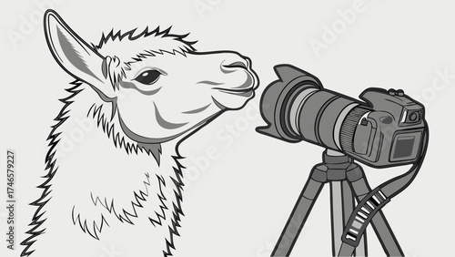 Cute Llama and Professional Camera on Tripod Photography Concept Illustration.