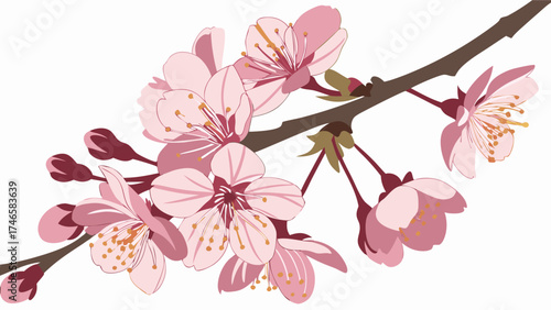 Pink Blossom Branch Spring Flowers Floral Design Botanical Illustration Nature Photography Delicate Pink Petals Springtime Bloom Cherry Blossom Style Flowering Branch White Background F.