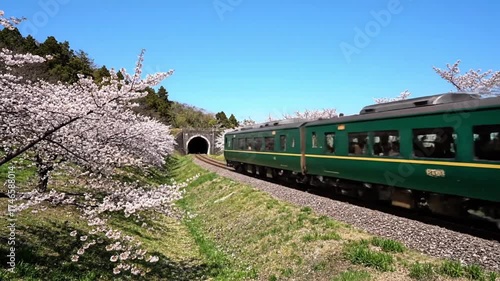 A green train emerges from a tunnel, passing blooming cherry trees under a clear blue sky in a scenic spring landscape.