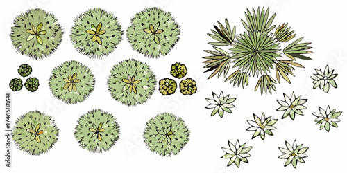 Collection of hand drawn top view plants and trees for landscape design and architectural visualization