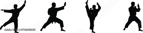 Martial arts silhouettes demonstrating dynamic kicks and poses action fitness training and combat sport concept vector