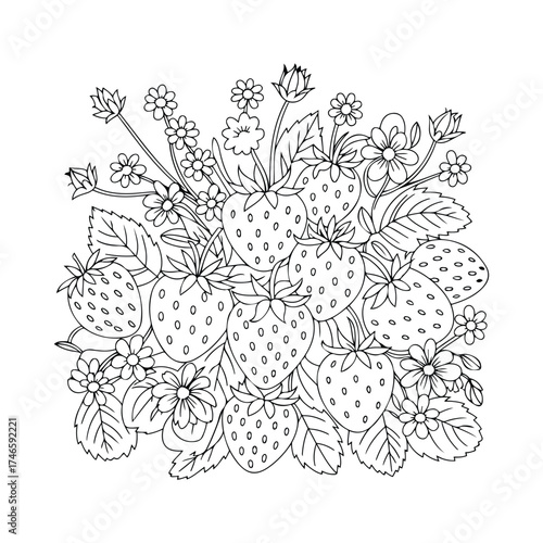 Strawberry Coloring Page | A detailed black and white outline drawing ideal for adults and kids. Great for mindfulness, art therapy, and DIY creative projects.