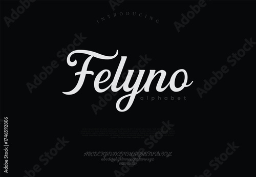 Elegant Font Uppercase Lowercase and Number. Classic Lettering Minimal Fashion Designs. Typography modern Serif fonts regular decorative vintage concept.