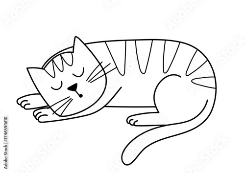 Black and white cat sleeping on the floor. Sweet dreams outline print with a cute feline character. Great for coloring page. Vector illustration