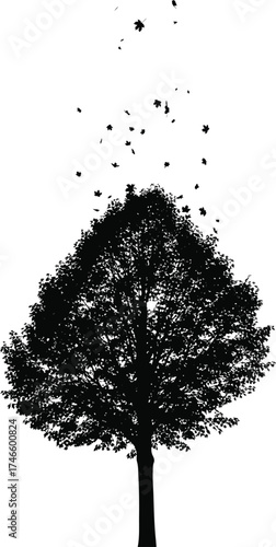 A solitary tree silhouette with falling leaves, isolated on white background, evoking a sense of autumns gentle decline and the beauty of natures cycle