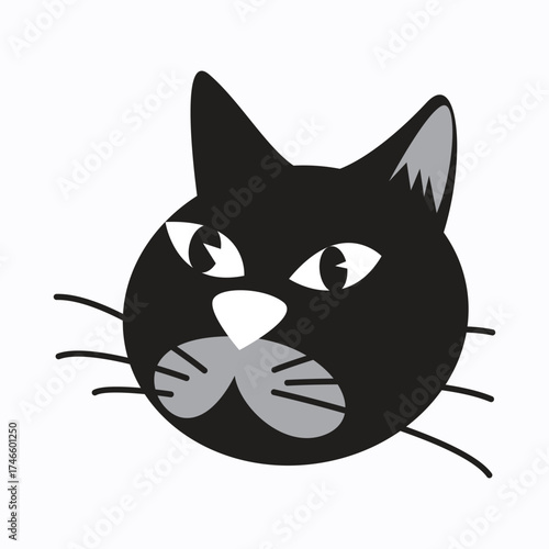 Adobe Stock Tempalte