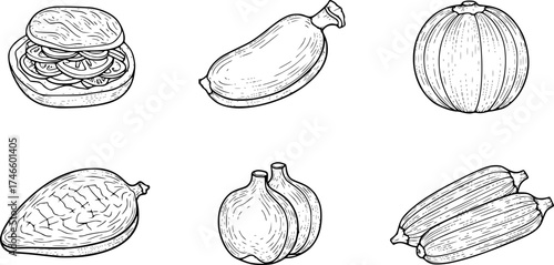 Seafood vector illustrations. Hand drawn line sea fishes, oysters, lobster, squid, octopus, crabs, prawns, fish fillet. Laminaria and wakame seaweeds. Healthy food natural set