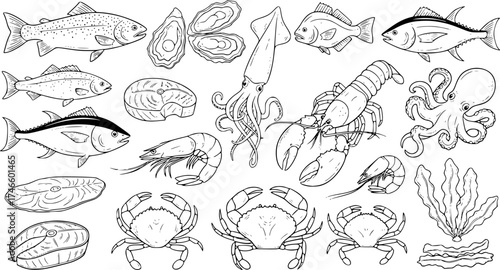 Seafood vector illustrations. Hand drawn line sea fishes, oysters, lobster, squid, octopus, crabs, prawns, fish fillet. Laminaria and wakame seaweeds. Healthy food natural set