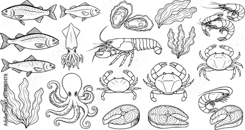Seafood vector illustrations. Hand drawn line sea fishes, oysters, lobster, squid, octopus, crabs, prawns, fish fillet. Laminaria and wakame seaweeds. Healthy food natural set