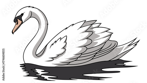 Elegant Swan in Water.