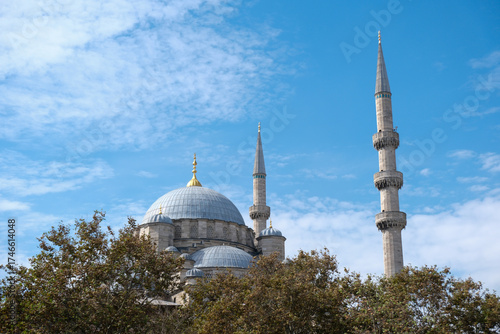 Fototapeta Naklejka Na Ścianę i Meble -  The Rustem Pasa Camii or Suleymaniye mosque on the bank of the Horn region of Istanbul.