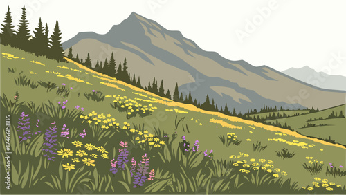 Mountain Meadow Landscape with Wildflowers and Coniferous Trees.