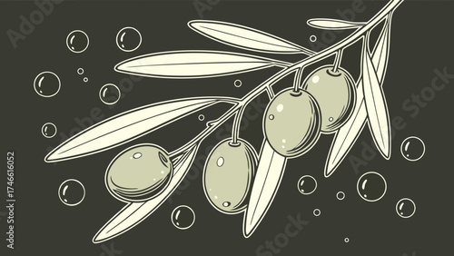 Olive Branch with Fruit and Bubbles.