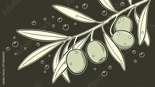 Olive Branch Illustration with Olives and Leaves.