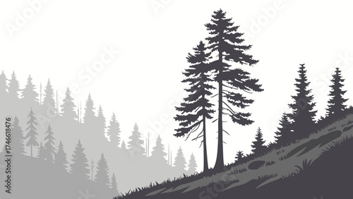 Silhouette of Evergreen Trees on a Hillside Monochrome Forest Illustration Nature Background for Design.
