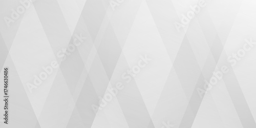 Gray and white black color background abstract art vector