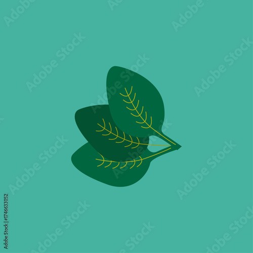 Green Spinach Leaves Vector Illustration With Yellow Veins On Teal Background