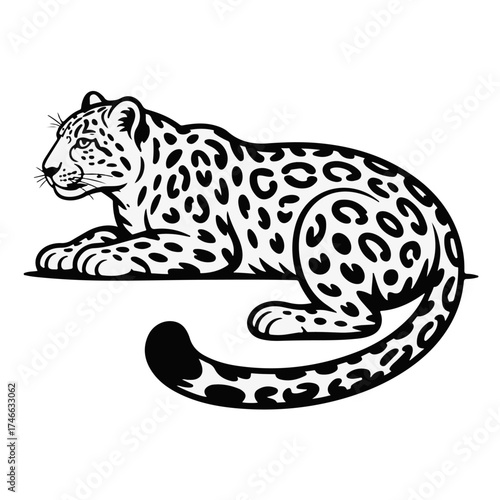 Wild leopard vector illustration on a black background, featuring a spotted big cat and carnivore from the Panthera genus, a true wildlife predator