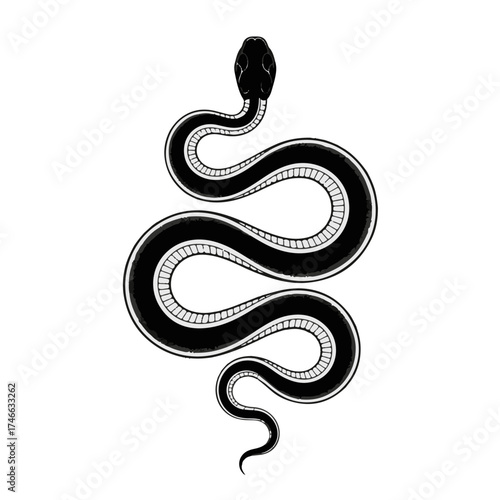 Wallpaper Mural Black snake vector illustration featuring an isolated reptile and wildlife serpent with an abstract scale pattern Torontodigital.ca