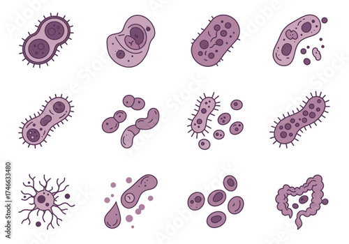 Diverse Collection of Microscopic Organisms and Cells.