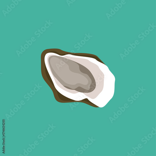 Stylized illustration of an open oyster with a pearl inside on a teal background