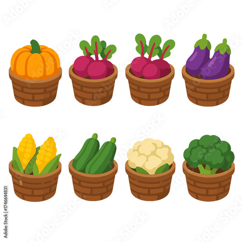 Colorful Harvest Icons. Colorful harvest isometric set. pumpkin basket, beet basket, radish basket, eggplant basket, corn basket, zucchini basket, cauliflower basket, broccoli