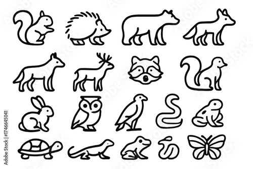 Outlined Wildlife Icons. Wildlife outline icons. squirrel, hedgehog, bear, fox, wolf, deer, raccoon, skunk, rabbit, owl, eagle, snake, turtle, lizard, frog, butterfly