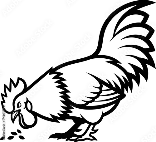 Rooster eating grain. Farm animal concept. Agriculture and food. Black and white outline vector illustration for logo, icon or emblem