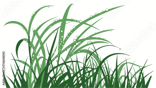Close-up illustration of dew drops on blades of green grass nature background vector graphic.