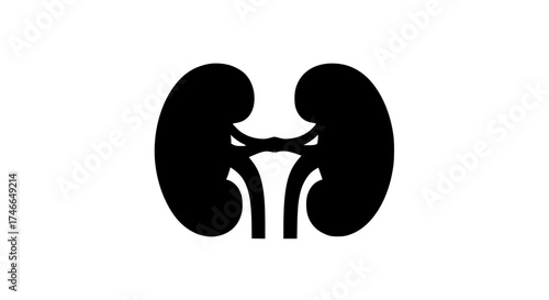 Kidney shape medical anatomy black white icon
