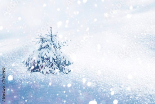 New Year's tree in a winter forest. Christmas festive background. copy space. Greeting card.