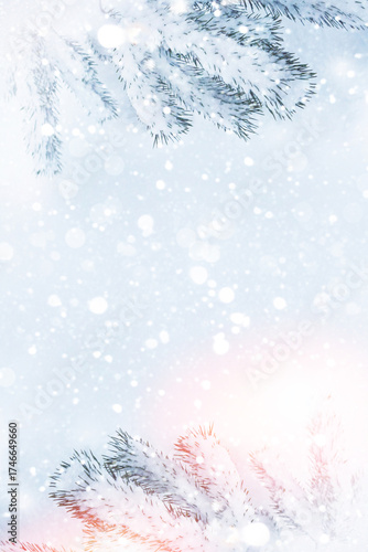 Vertical. Pine branches in the fluffy snow. Winter forest. Landscape.