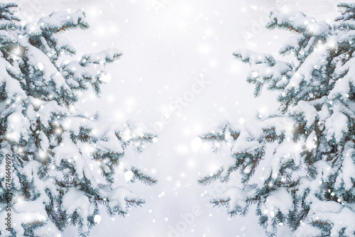 Christmas frame. Spruce branches in the fluffy snow. Winter forest. Landscape.