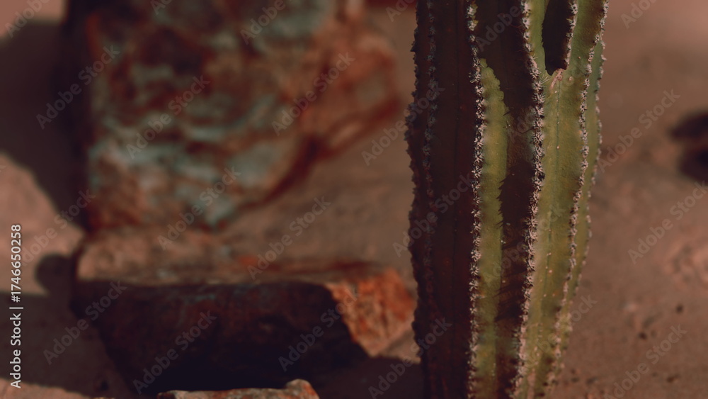 Fototapeta premium A tall cactus stands proudly among rugged rocks, basking in the warm sunlight of the desert. Surrounding stones reveal the beauty of this arid landscape, showcasing natures resilience.