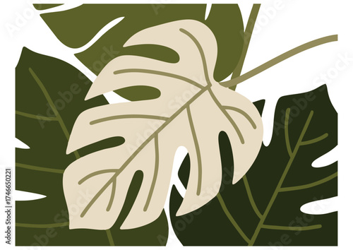 Minimalist botanical vector illustration